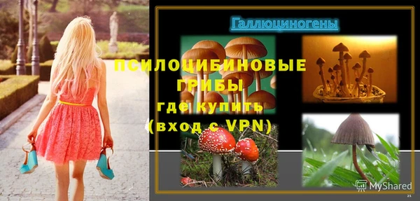 твердый Баксан