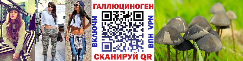 Псилоцибиновые грибы GOLDEN TEACHER  Ладушкин 